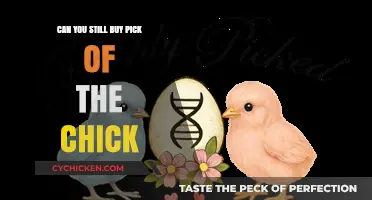 Pick of the Chick: Availability and Where to Find It Today