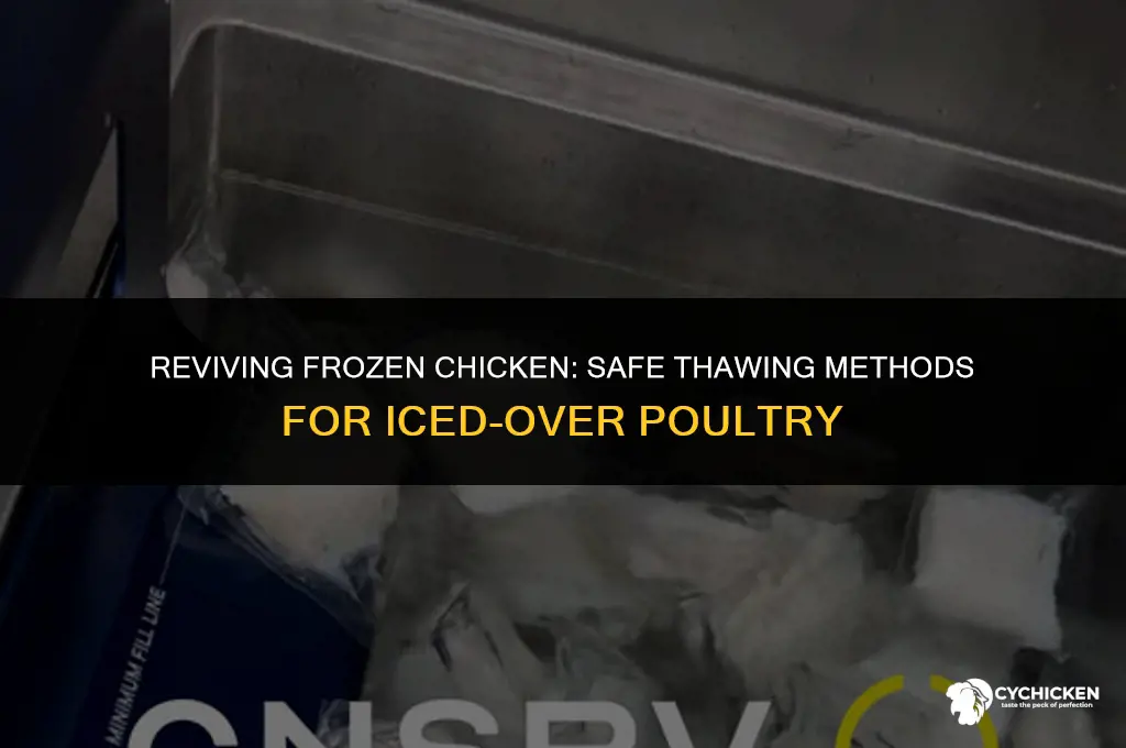 can you still use frozen chicken thats iced over