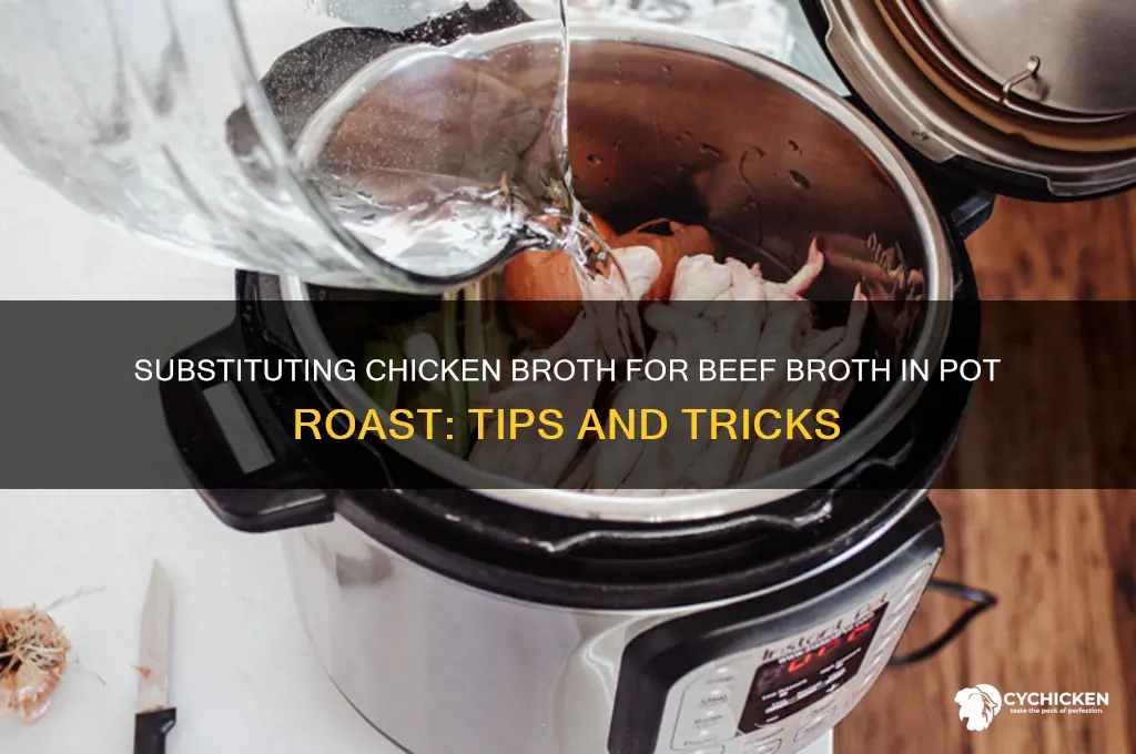 can you substitute chicken broth for beef broth pot roast