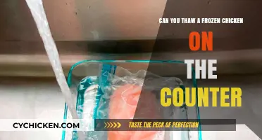 Safe Thawing Practices: Can You Thaw a Frozen Chicken on the Counter?