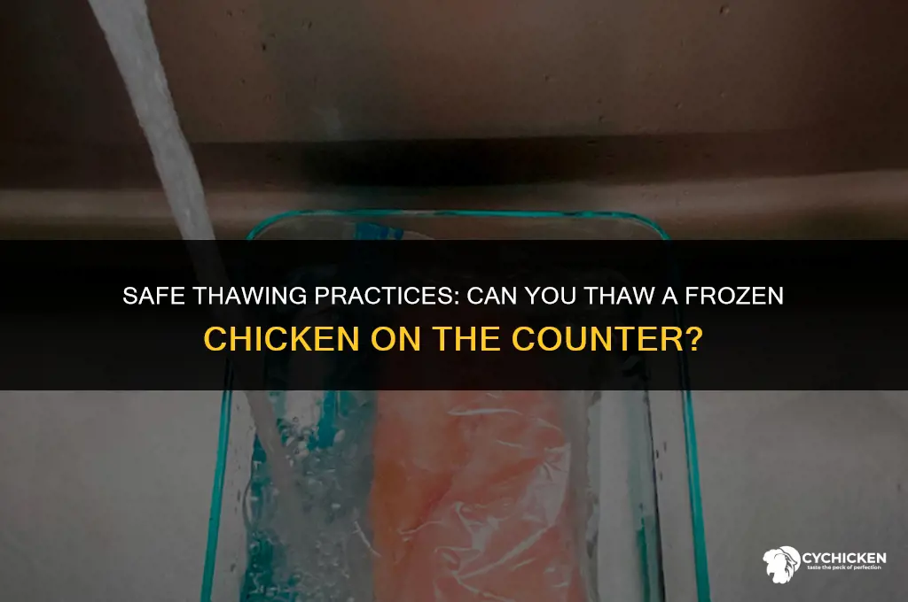 can you thaw a frozen chicken on the counter