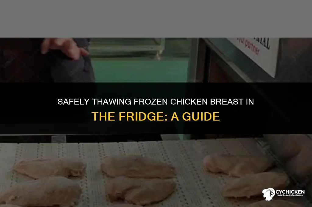 can you thaw frozen chicken breast in fridge