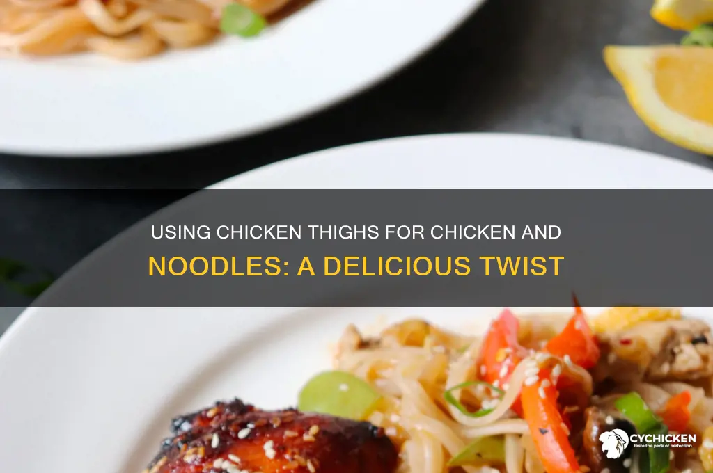 can you use chicken thighs for chicken and noodles