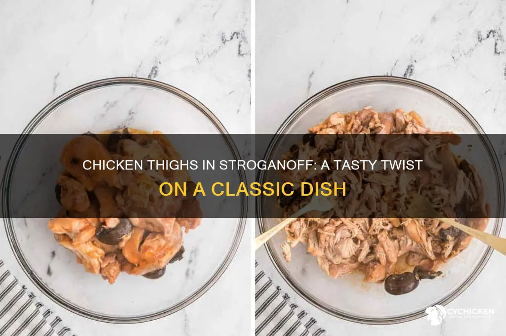 can you use chicken thighs for chicken stroganoff