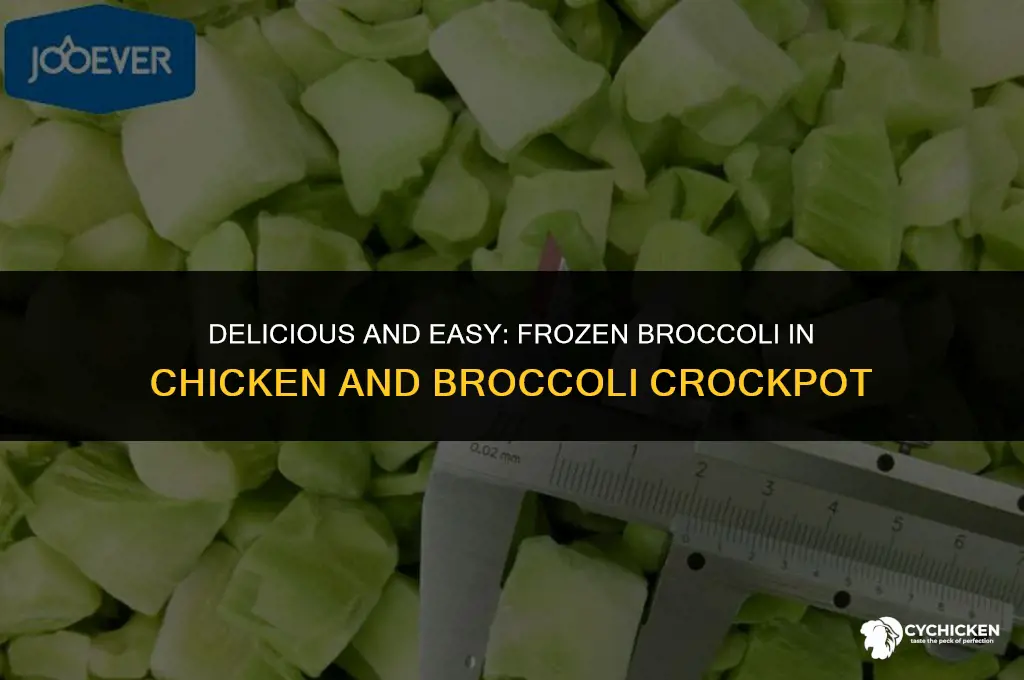 can you use frozen broccoli in chicken and brocolli crockpot
