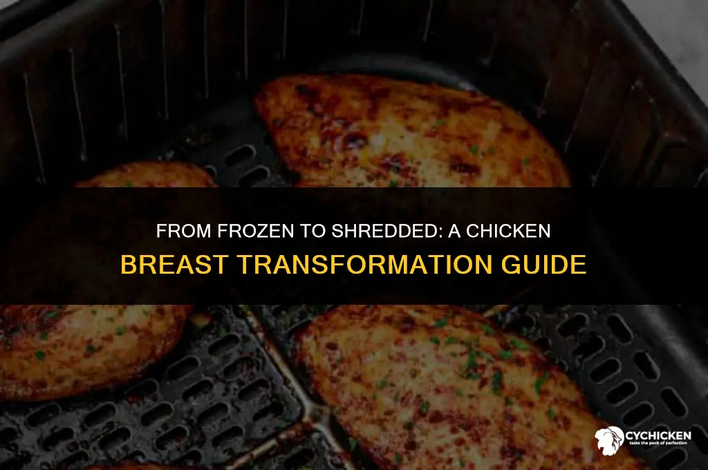 can you used frozen chiken breast to make shredded chicken