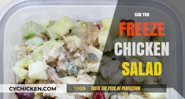 Chill or Not: The Great Chicken Salad Freezing Debate