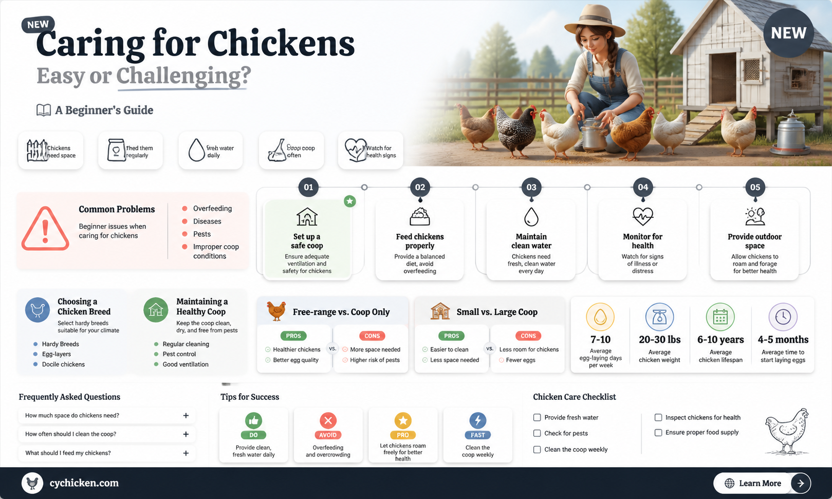 are chicken hard to take care of