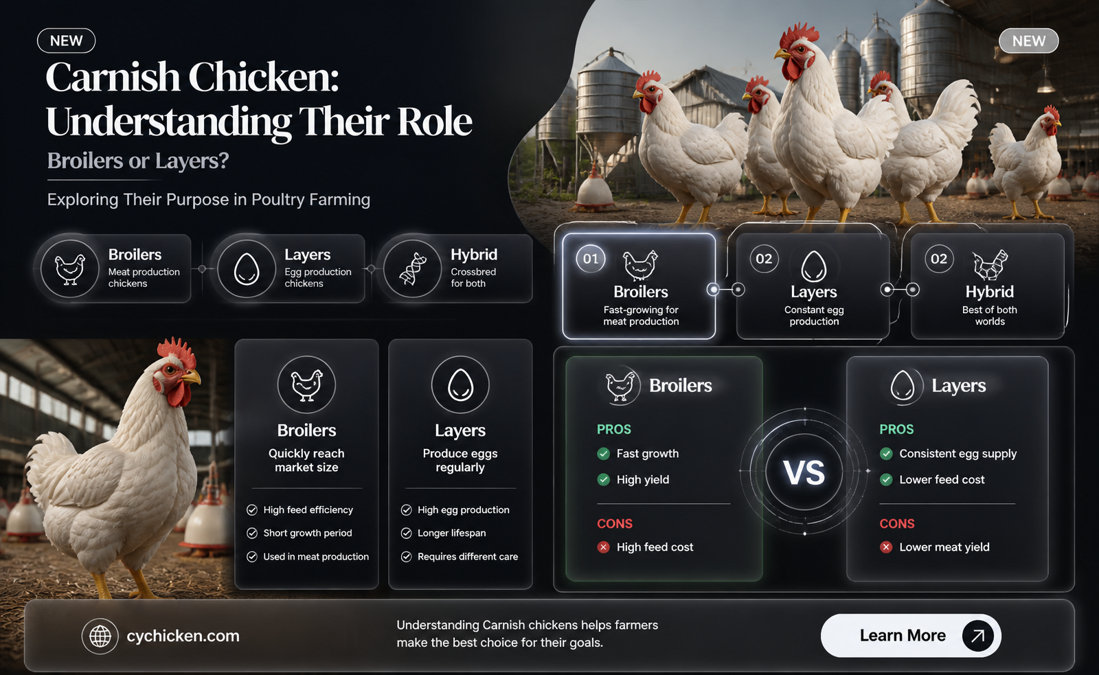 are carnish chicken a broiler or layer