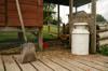 chicken feed
