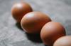 chicken healthy