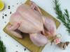chicken healthy