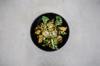 chicken healthy
