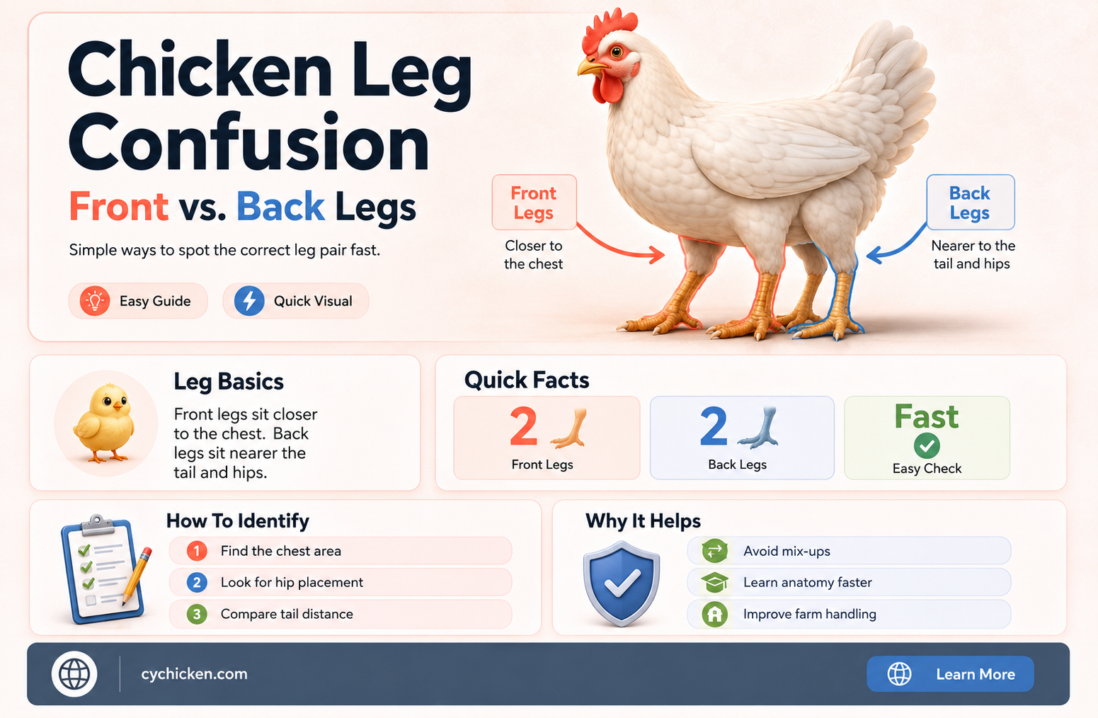 are these chicken legs the front or back