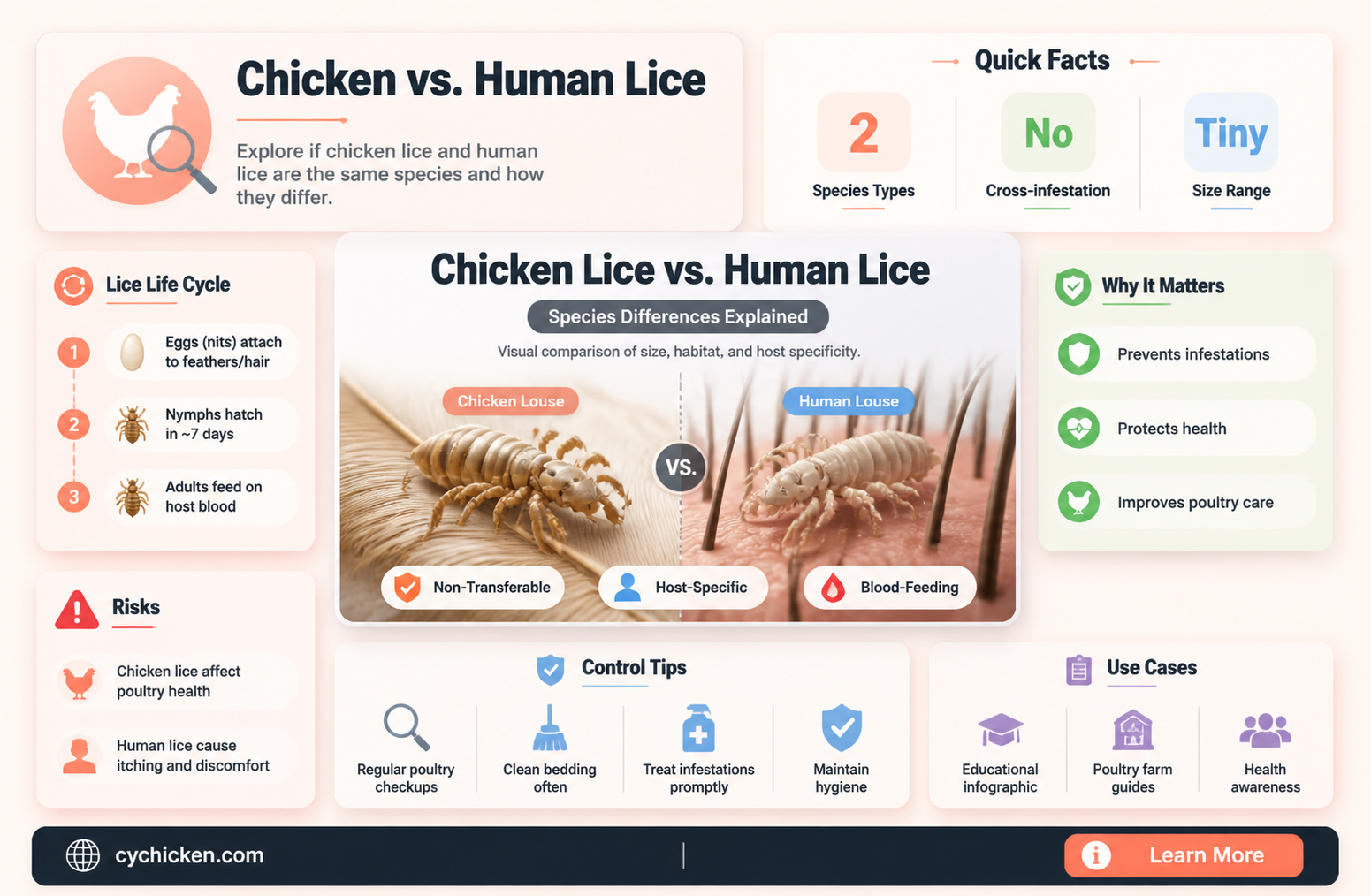 are chicken lice the same as human lice