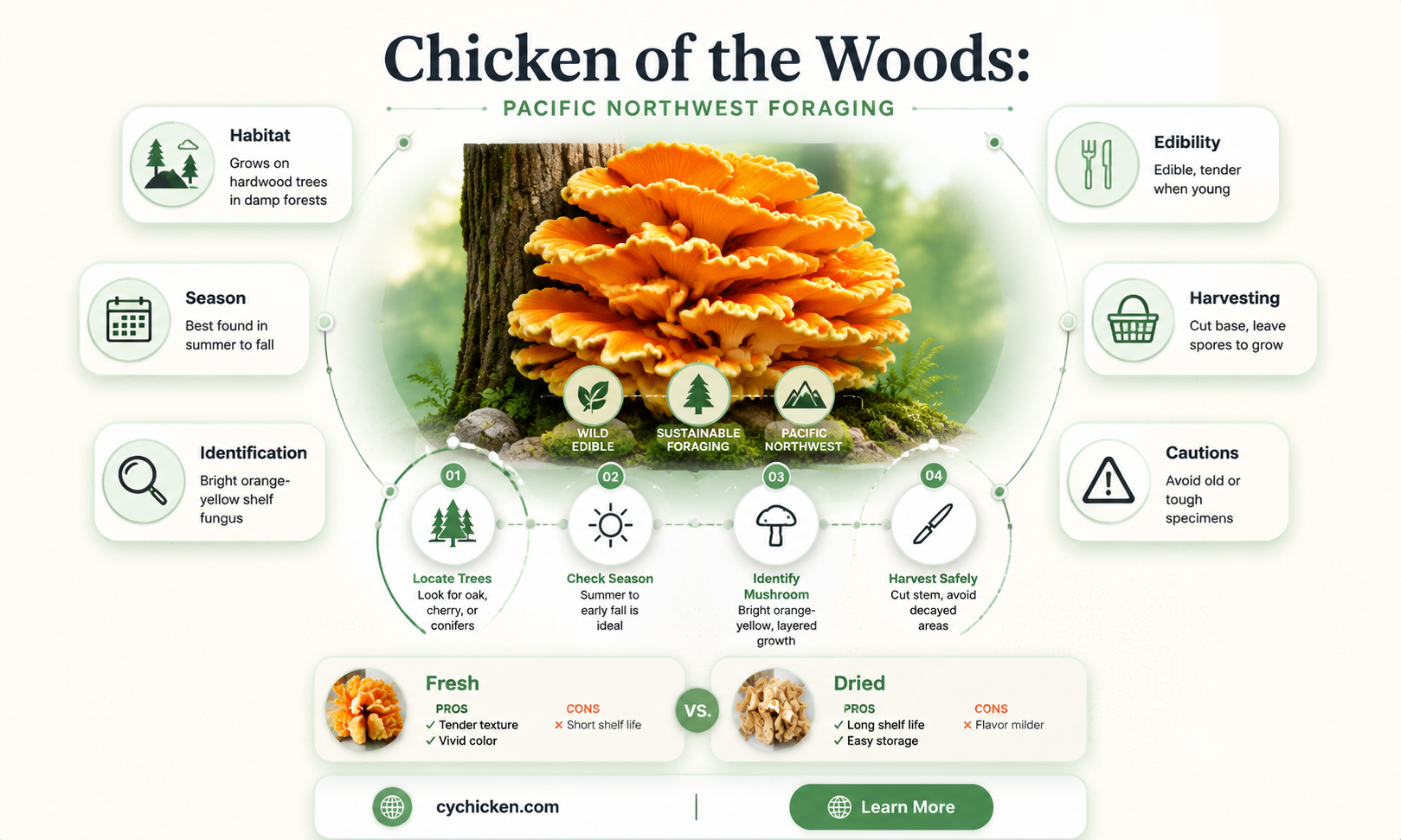 are there chicken of the woods in the pacific nw