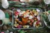 chicken other