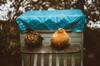 chicken questions