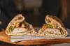 chicken sandwich