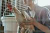 chicken thigh