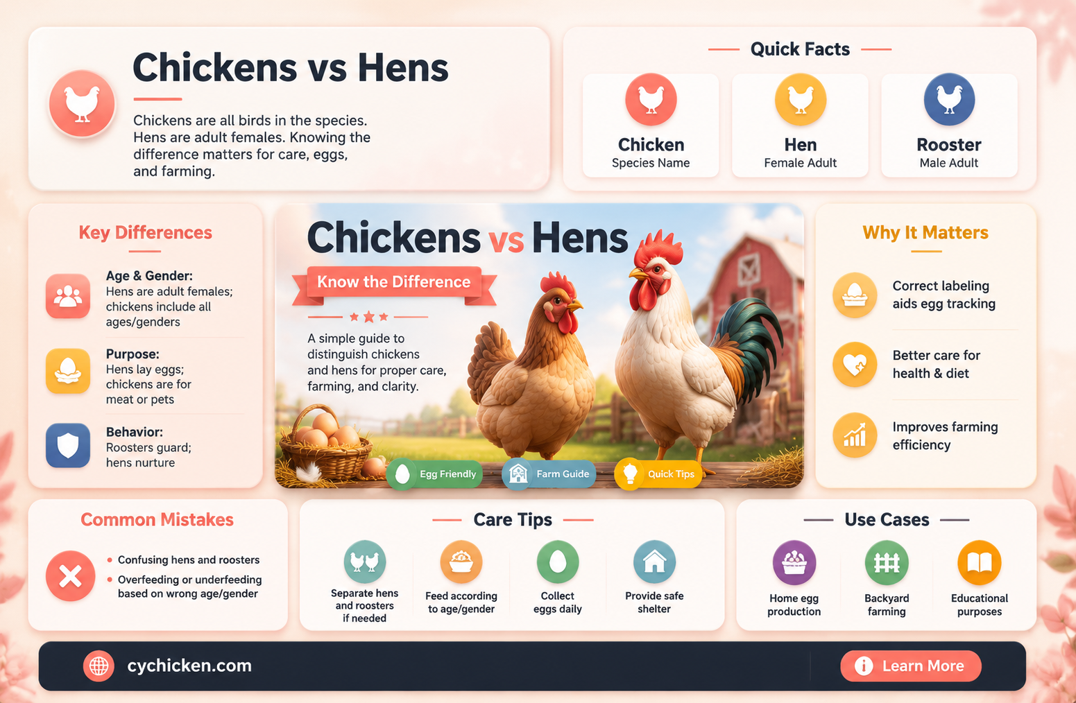 are chickens and hens the same thing