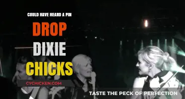 The Silent Impact: Dixie Chicks' Pin-Drop Moment and Its Legacy