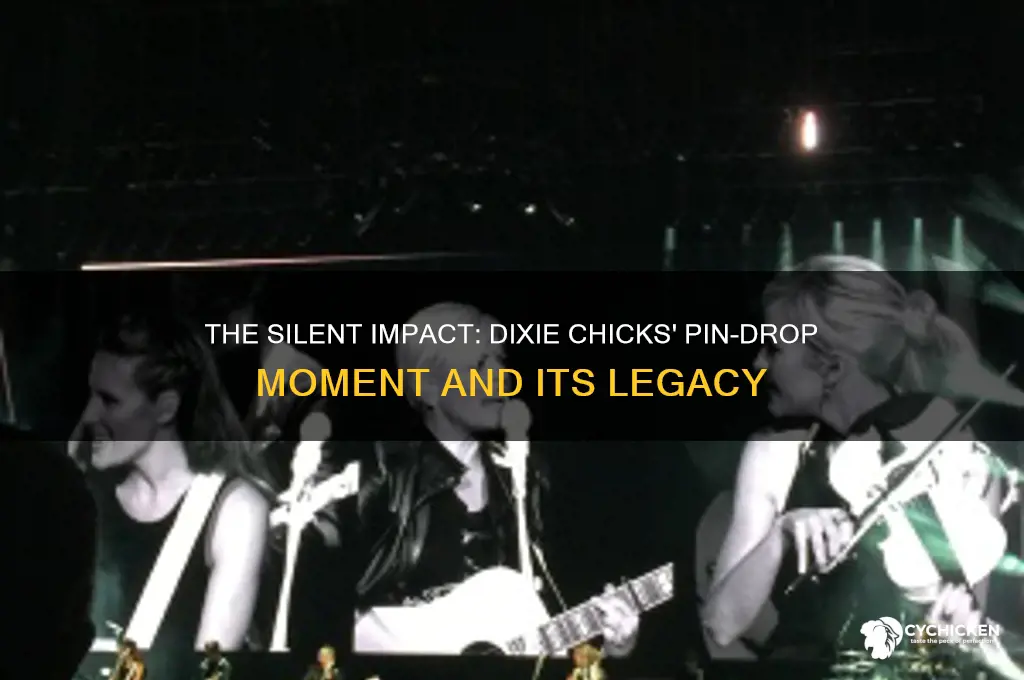 could have heard a pin drop dixie chicks