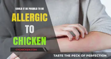 Chicken Allergy: Is It Possible and What Are the Symptoms?