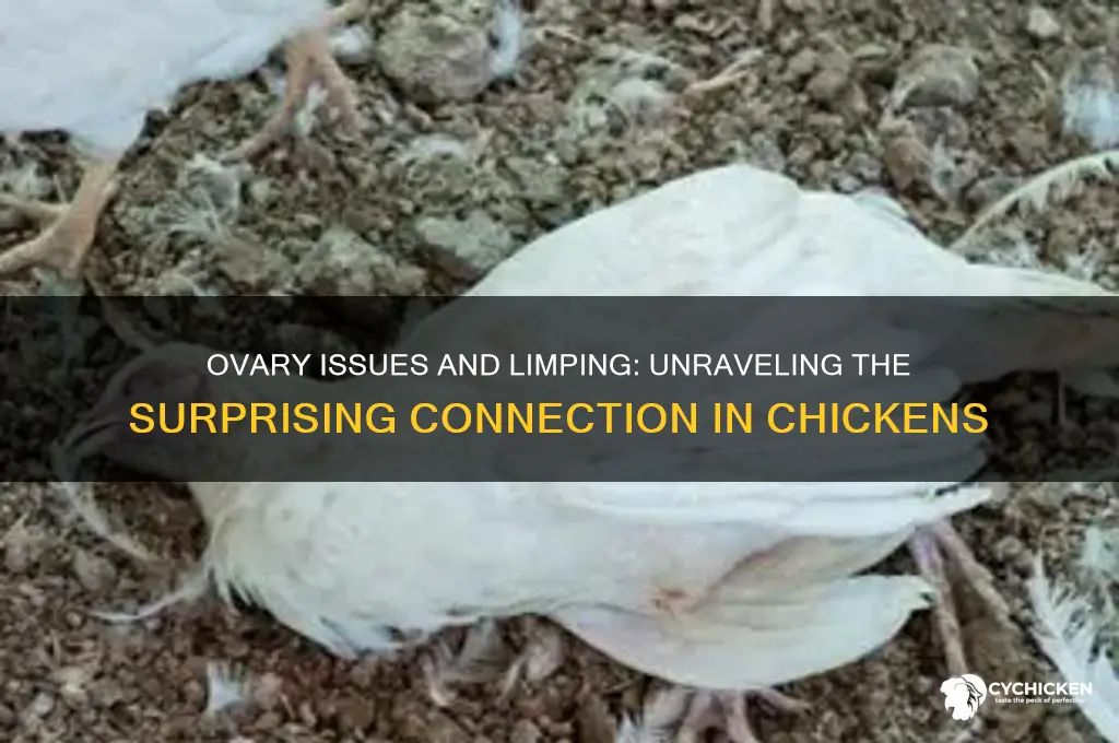 could ovary problems lead to a chicking limping