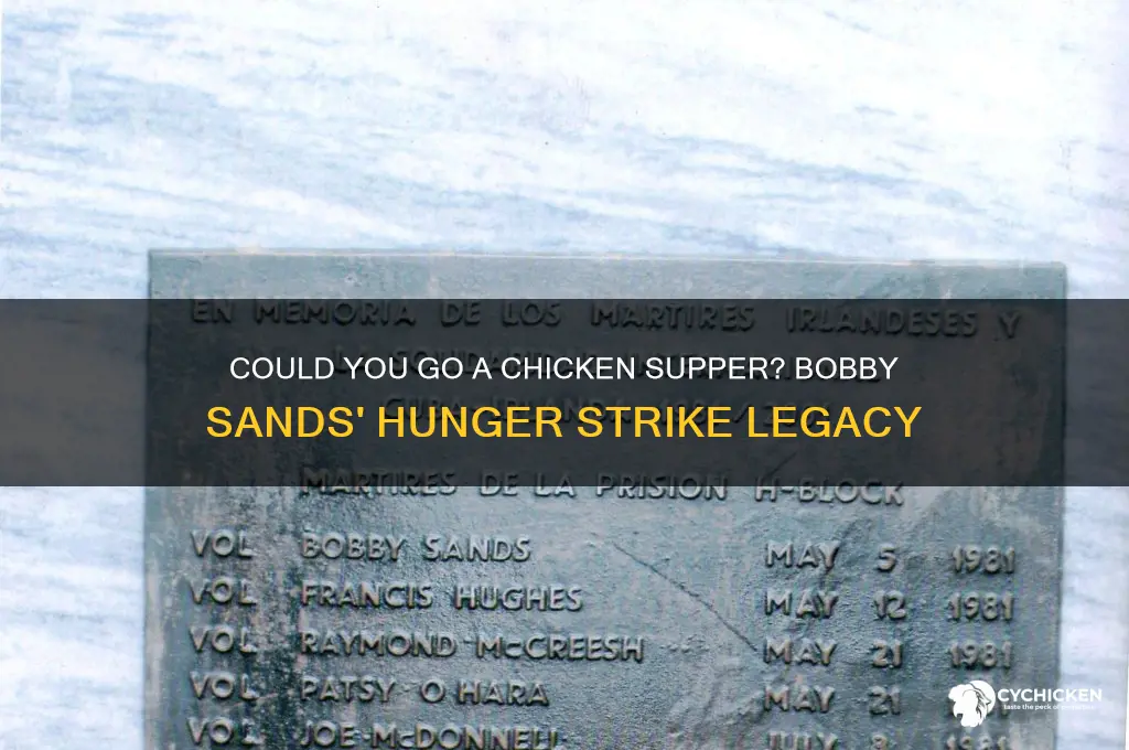 could you go a chicken supper bobby sands