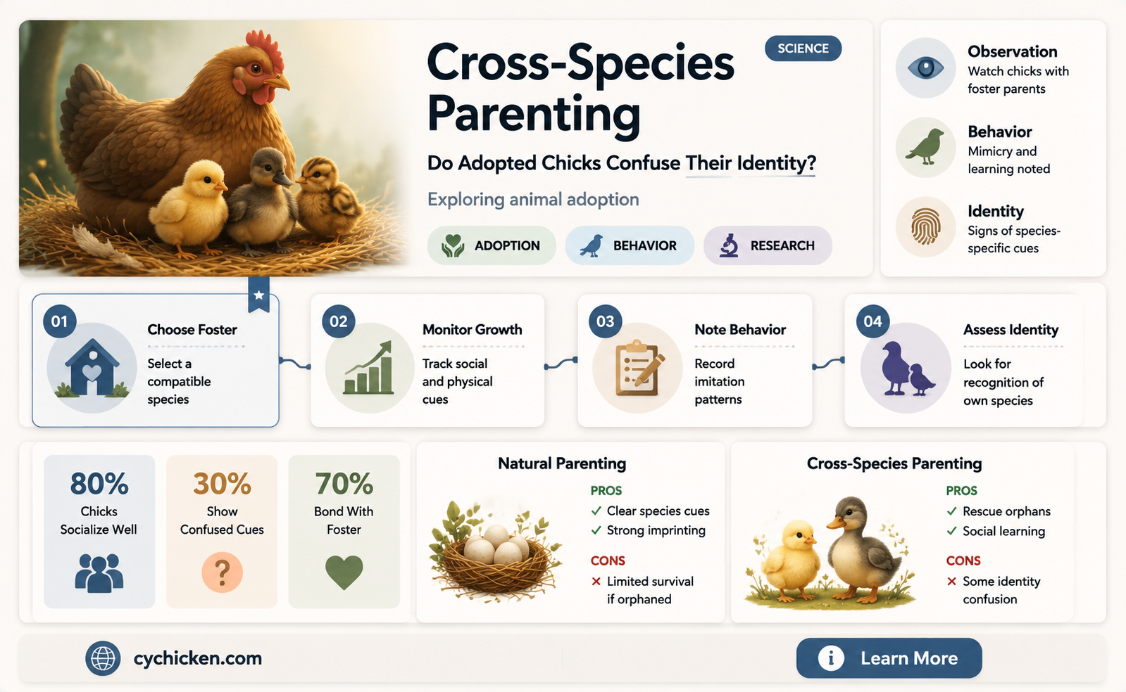 are chicks raised by another species confused