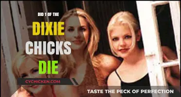 Dixie Chicks Death Rumor: Separating Fact from Fiction