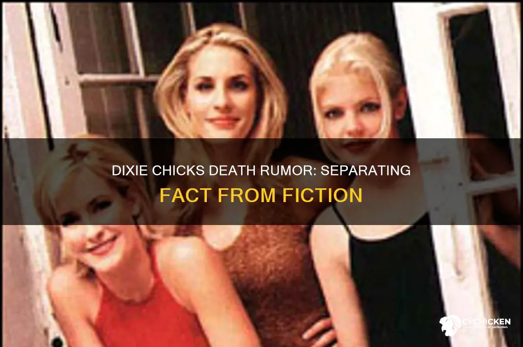 did 1 of the dixie chicks die
