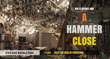 Two Chicks and a Hammer: Closure and Future Plans Explained