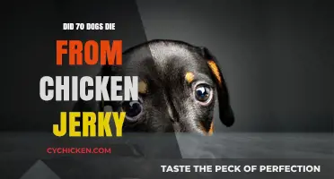 Chicken Jerky Treats: Uncovering the Truth Behind Dog Deaths
