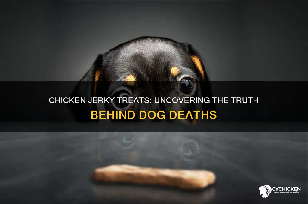 did 70 dogs die from chicken jerky