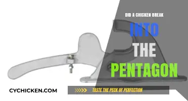 Clucks and Classified: Did a Chicken Really Breach the Pentagon?