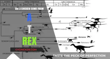 Did Chickens Evolve from T-Rex? Unraveling the Dinosaur-Bird Connection