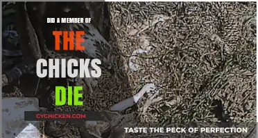 The Chicks Tragedy: Did a Member Pass Away? Unraveling the Truth