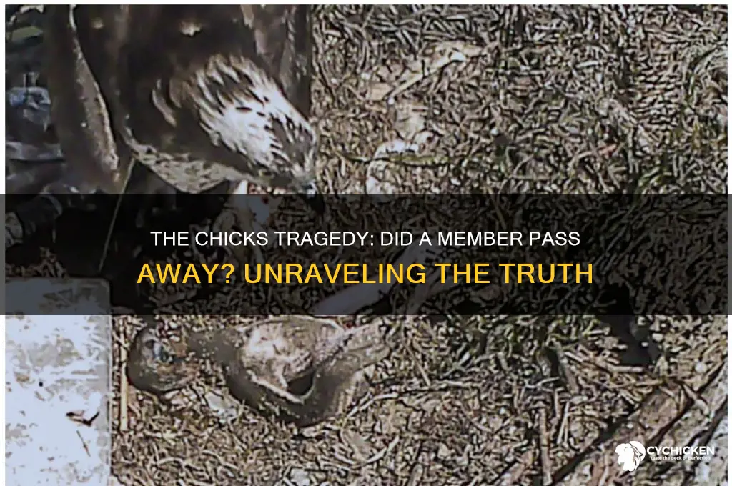 did a member of the chicks die