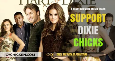 Country Music Stars Who Stood by the Dixie Chicks