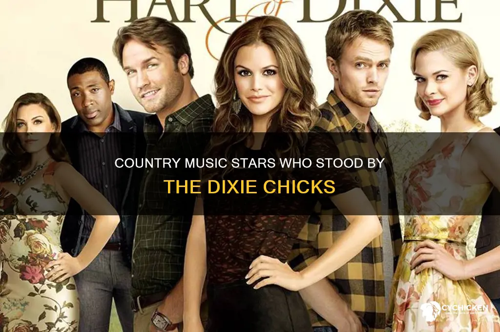 did any country music stars support dixie chicks
