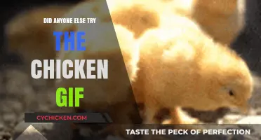 Chicken GIF Craze: Did You Join the Viral Sensation?
