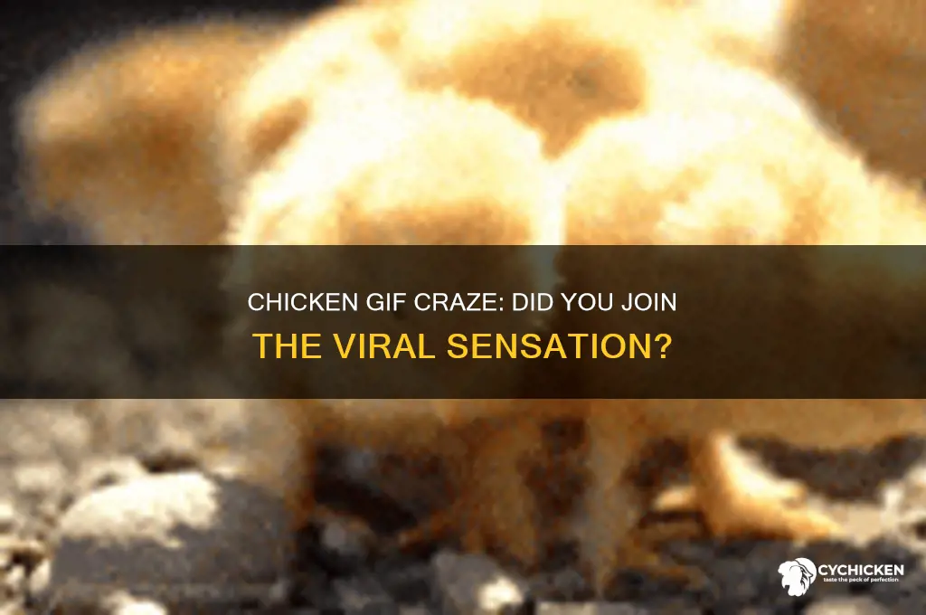 did anyone else try the chicken gif