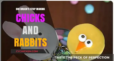 Brach's Discontinued Chicks and Rabbits: What Happened to the Easter Treats?