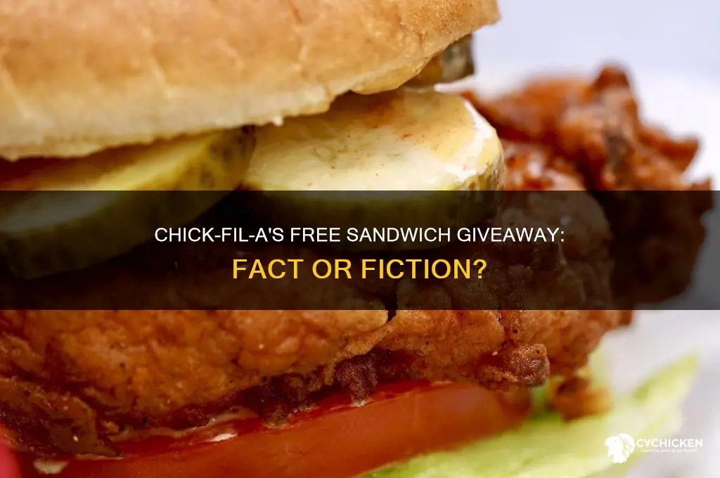did chick fil a give away free sandwich