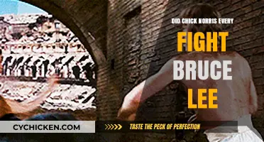 Chick Norris vs. Bruce Lee: Fact or Fiction?