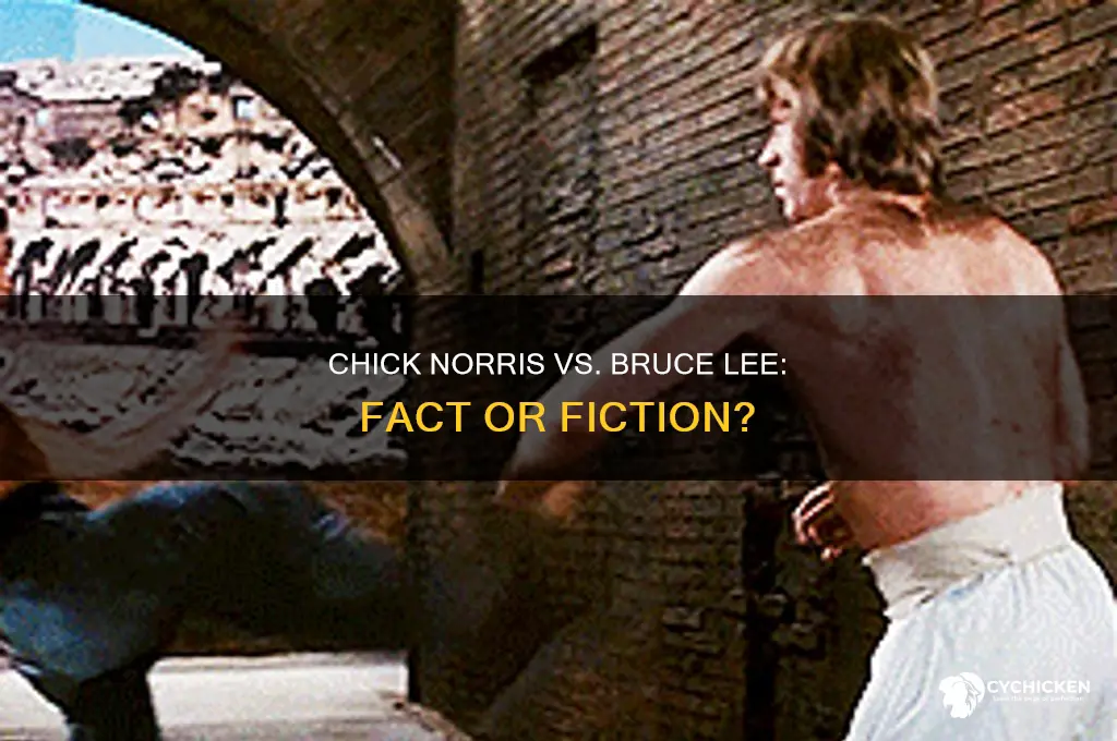did chick norris every fight bruce lee