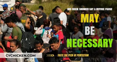 Chick Schumer's Pause: A Necessary Refuge?