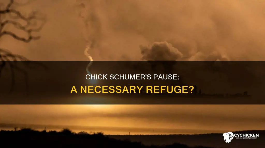 did chick shumer say a refuge pause may be necessary